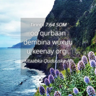 Picture 04 - Tirintii 7:64 SOM - oo qurbaan dembina wuxuu u keenay - Bible Verse Picture