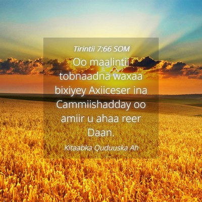Picture 04 - Tirintii 7:66 SOM - Oo maalintii tobnaadna waxaa bixiyey Axiiceser - Bible Verse Picture