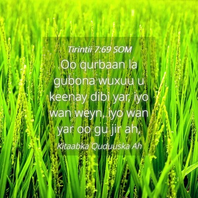 Picture 04 - Tirintii 7:69 SOM - Oo qurbaan la gubona wuxuu u keenay dibi yar, iyo - Bible Verse Picture