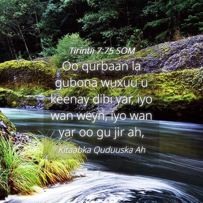 Picture 04 - Tirintii 7:75 SOM - Oo qurbaan la gubona wuxuu u keenay dibi yar, iyo - Bible Verse Picture