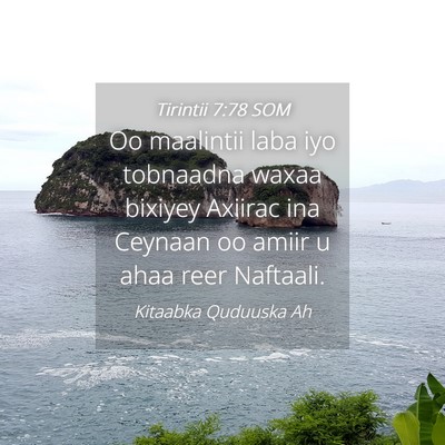 Picture 04 - Tirintii 7:78 SOM - Oo maalintii laba iyo tobnaadna waxaa bixiyey - Bible Verse Picture
