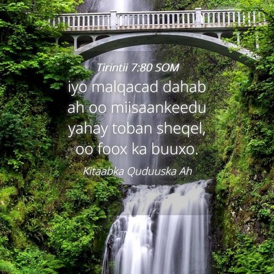 Picture 04 - Tirintii 7:80 SOM - iyo malqacad dahab ah oo miisaankeedu yahay toban - Bible Verse Picture