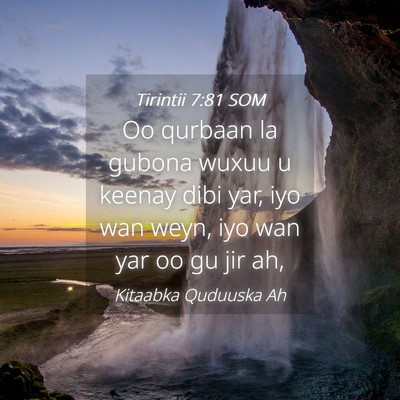 Picture 04 - Tirintii 7:81 SOM - Oo qurbaan la gubona wuxuu u keenay dibi yar, iyo - Bible Verse Picture