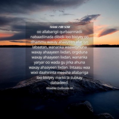 Picture 04 - Tirintii 7:88 SOM - oo allabarigii qurbaannadii nabaadiinada dibidii - Bible Verse Picture