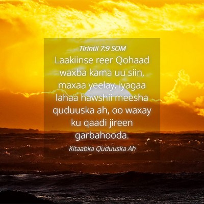 Picture 04 - Tirintii 7:9 SOM - Laakiinse reer Qohaad waxba kama uu siin, maxaa - Bible Verse Picture