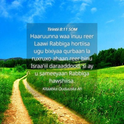 Picture 04 - Tirintii 8:11 SOM - Haaruunna waa inuu reer Laawi Rabbiga hortiisa - Bible Verse Picture