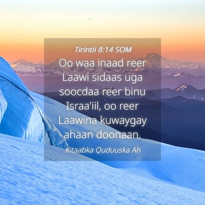 Picture 04 - Tirintii 8:14 SOM - Oo waa inaad reer Laawi sidaas uga soocdaa reer - Bible Verse Picture