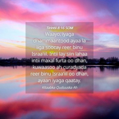 Picture 04 - Tirintii 8:16 SOM - Waayo, iyaga dhammaantood ayaa la iiga soocay - Bible Verse Picture
