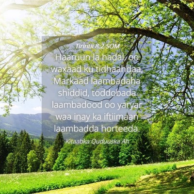 Picture 04 - Tirintii 8:2 SOM - Haaruun la hadal, oo waxaad ku tidhaahdaa, - Bible Verse Picture