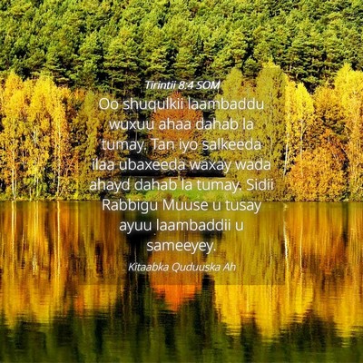 Picture 04 - Tirintii 8:4 SOM - Oo shuqulkii laambaddu wuxuu ahaa dahab la tumay. - Bible Verse Picture