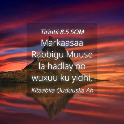Picture 04 - Tirintii 8:5 SOM - Markaasaa Rabbigu Muuse la hadlay oo wuxuu ku - Bible Verse Picture
