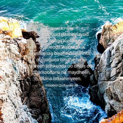 Picture 04 - Tirintii 8:7 SOM - Oo markaad daahirinaysid sidan iyaga ku samee: - Bible Verse Picture