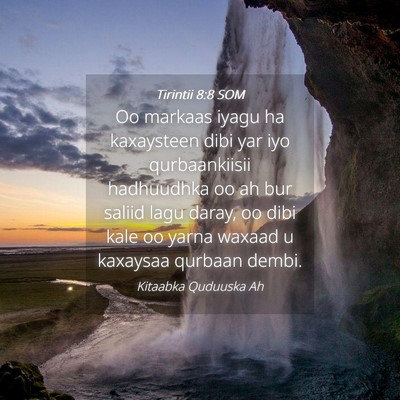 Picture 04 - Tirintii 8:8 SOM - Oo markaas iyagu ha kaxaysteen dibi yar iyo - Bible Verse Picture