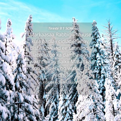 Picture 04 - Tirintii 9:1 SOM - Markaasaa Rabbigu Muuse kula hadlay cidladii - Bible Verse Picture