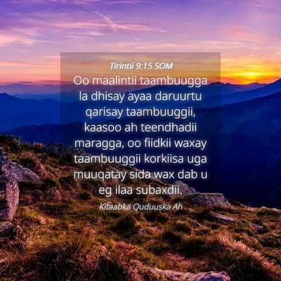 Picture 04 - Tirintii 9:15 SOM - Oo maalintii taambuugga la dhisay ayaa daruurtu - Bible Verse Picture