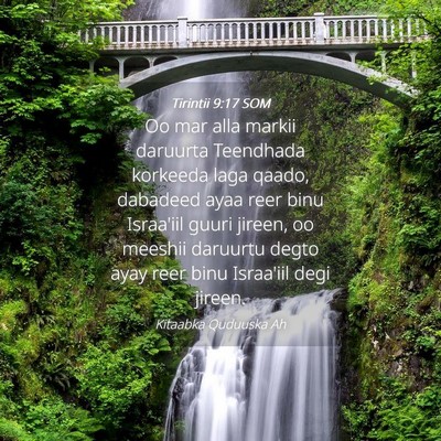 Picture 04 - Tirintii 9:17 SOM - Oo mar alla markii daruurta Teendhada korkeeda - Bible Verse Picture