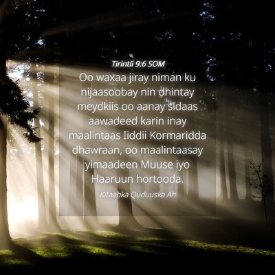Picture 04 - Tirintii 9:6 SOM - Oo waxaa jiray niman ku nijaasoobay nin dhintay - Bible Verse Picture