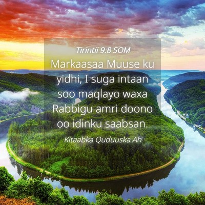 Picture 04 - Tirintii 9:8 SOM - Markaasaa Muuse ku yidhi, I suga intaan soo - Bible Verse Picture