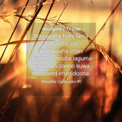 Picture 04 - Wacdiyahii 1:11 SOM - Waxyaalihii hore lama xusuusto, oo waxyaalaha - Bible Verse Picture