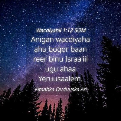 Picture 04 - Wacdiyahii 1:12 SOM - Anigan wacdiyaha ahu boqor baan reer binu - Bible Verse Picture
