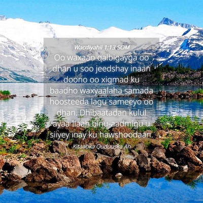 Picture 04 - Wacdiyahii 1:13 SOM - Oo waxaan qalbigayga oo dhan u soo jeedshay inaan - Bible Verse Picture