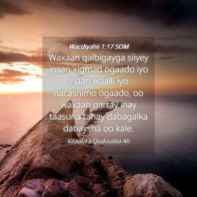 Picture 04 - Wacdiyahii 1:17 SOM - Waxaan qalbigayga siiyey inaan xigmad ogaado iyo - Bible Verse Picture