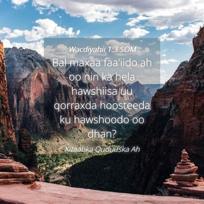 Picture 04 - Wacdiyahii 1:3 SOM - Bal maxaa faa'iido ah oo nin ka hela hawshiisa uu - Bible Verse Picture
