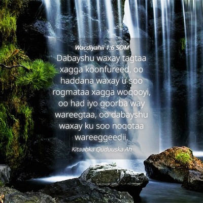 Picture 04 - Wacdiyahii 1:6 SOM - Dabayshu waxay tagtaa xagga koonfureed, oo - Bible Verse Picture