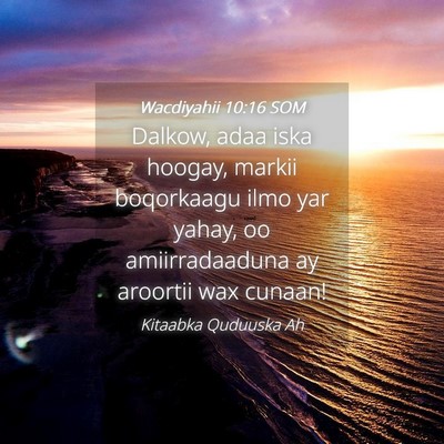 Picture 04 - Wacdiyahii 10:16 SOM - Dalkow, adaa iska hoogay, markii boqorkaagu ilmo - Bible Verse Picture