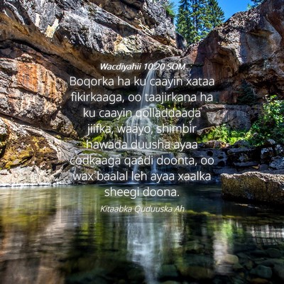 Picture 04 - Wacdiyahii 10:20 SOM - Boqorka ha ku caayin xataa fikirkaaga, oo - Bible Verse Picture