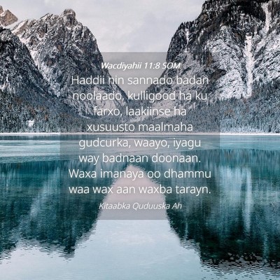 Picture 04 - Wacdiyahii 11:8 SOM - Haddii nin sannado badan noolaado, kulligood ha - Bible Verse Picture