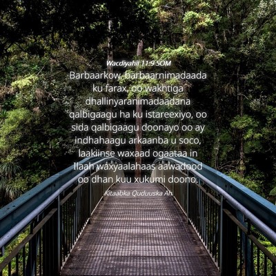 Picture 04 - Wacdiyahii 11:9 SOM - Barbaarkow, barbaarnimadaada ku farax, oo - Bible Verse Picture