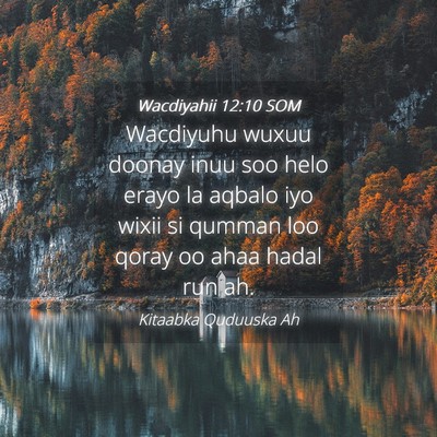 Picture 04 - Wacdiyahii 12:10 SOM - Wacdiyuhu wuxuu doonay inuu soo helo erayo la - Bible Verse Picture