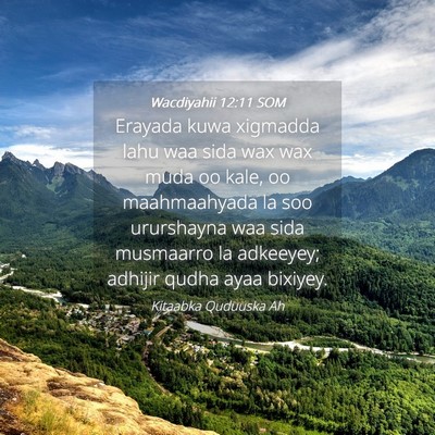 Picture 04 - Wacdiyahii 12:11 SOM - Erayada kuwa xigmadda lahu waa sida wax wax muda - Bible Verse Picture