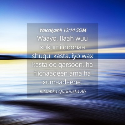 Picture 04 - Wacdiyahii 12:14 SOM - Waayo, Ilaah wuu xukumi doonaa shuqul kasta, iyo - Bible Verse Picture