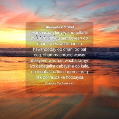 Picture 04 - Wacdiyahii 2:11 SOM - Markaasaan fiiriyey shuqulladii ay gacmahaygu - Bible Verse Picture