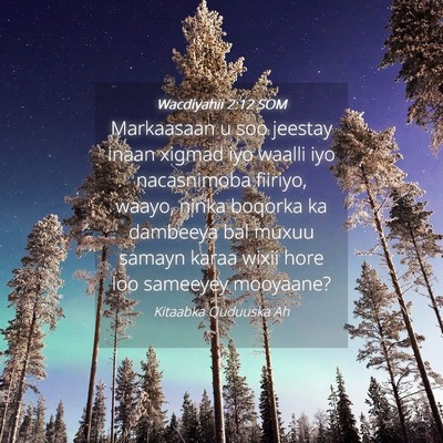 Picture 04 - Wacdiyahii 2:12 SOM - Markaasaan u soo jeestay inaan xigmad iyo waalli - Bible Verse Picture