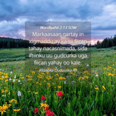 Picture 04 - Wacdiyahii 2:13 SOM - Markaasaan gartay in xigmaddu ay ka sii fiican - Bible Verse Picture