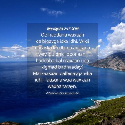 Picture 04 - Wacdiyahii 2:15 SOM - Oo haddana waxaan qalbigayga iska idhi, Wixii - Bible Verse Picture