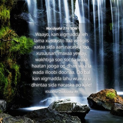 Picture 04 - Wacdiyahii 2:16 SOM - Waayo, kan xigmadda leh lama xusuusto ilaa - Bible Verse Picture