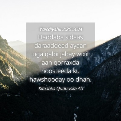 Picture 04 - Wacdiyahii 2:20 SOM - Haddaba sidaas daraaddeed ayaan uga qalbi jabay - Bible Verse Picture