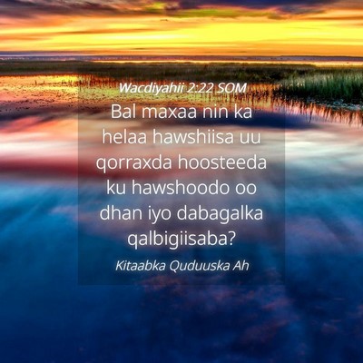 Picture 04 - Wacdiyahii 2:22 SOM - Bal maxaa nin ka helaa hawshiisa uu qorraxda - Bible Verse Picture
