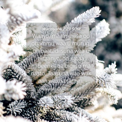 Picture 04 - Wacdiyahii 2:23 SOM - Waayo, maalmihiisa oo dhammu waa u murug, - Bible Verse Picture