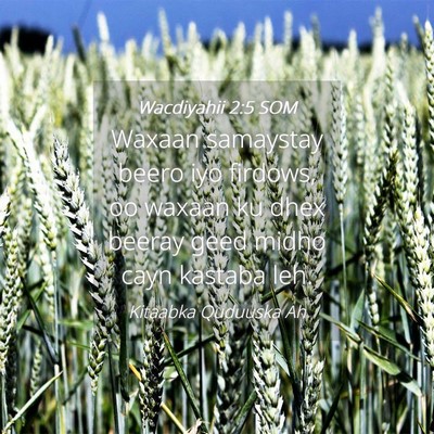 Picture 04 - Wacdiyahii 2:5 SOM - Waxaan samaystay beero iyo firdows, oo waxaan ku - Bible Verse Picture