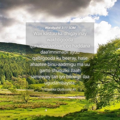Picture 04 - Wacdiyahii 3:11 SOM - Wax kastuu ka dhigay inay wakhtigooda - Bible Verse Picture