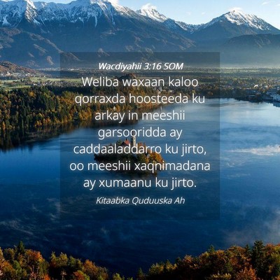 Picture 04 - Wacdiyahii 3:16 SOM - Weliba waxaan kaloo qorraxda hoosteeda ku arkay - Bible Verse Picture