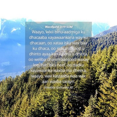 Picture 04 - Wacdiyahii 3:19 SOM - Waayo, wixii binu-aadmiga ku dhacaaba - Bible Verse Picture