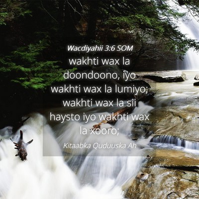 Picture 04 - Wacdiyahii 3:6 SOM - wakhti wax la doondoono, iyo wakhti wax la - Bible Verse Picture