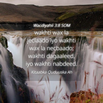 Picture 04 - Wacdiyahii 3:8 SOM - wakhti wax la jeclaado iyo wakhti wax la - Bible Verse Picture