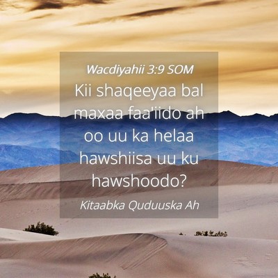 Picture 04 - Wacdiyahii 3:9 SOM - Kii shaqeeyaa bal maxaa faa'iido ah oo uu ka - Bible Verse Picture
